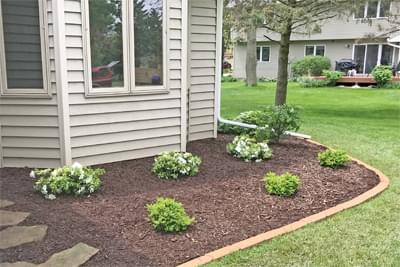 Photo showing a neat job trimming a hedge next to a sidewalk