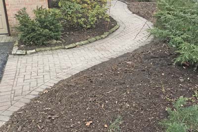 Photo of path and border showing a really good weed removal and clean-up work